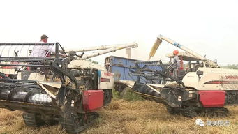 肥西县农机部门 服务机手跨区作业，助力农业机械化发展