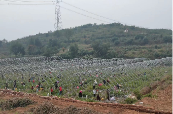 广水市农业机械服务最新名单发布，助力现代农业高效发展