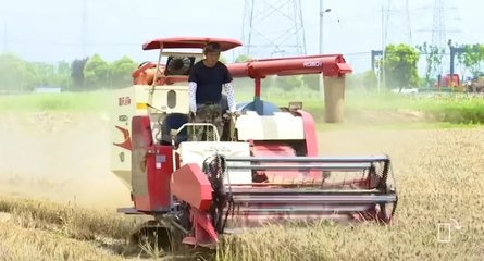 农业机械服务 现代农业发展的关键支撑